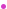 Maligni